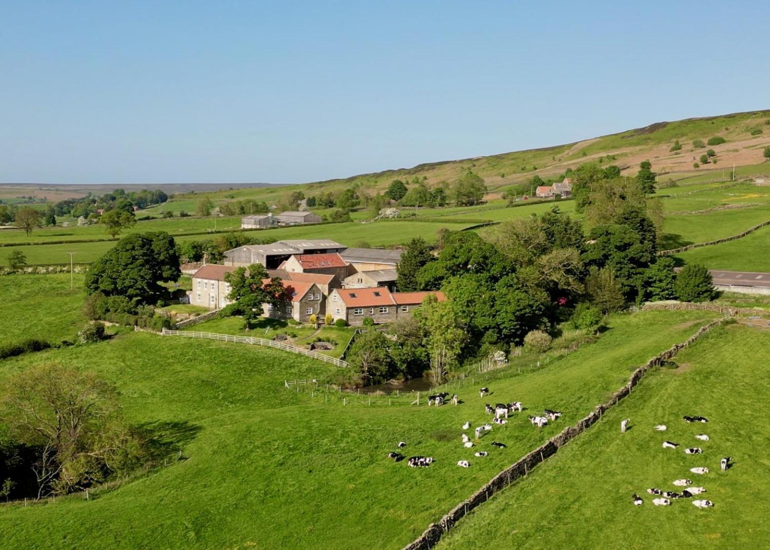 Church House Farm Danby Kültér fotó