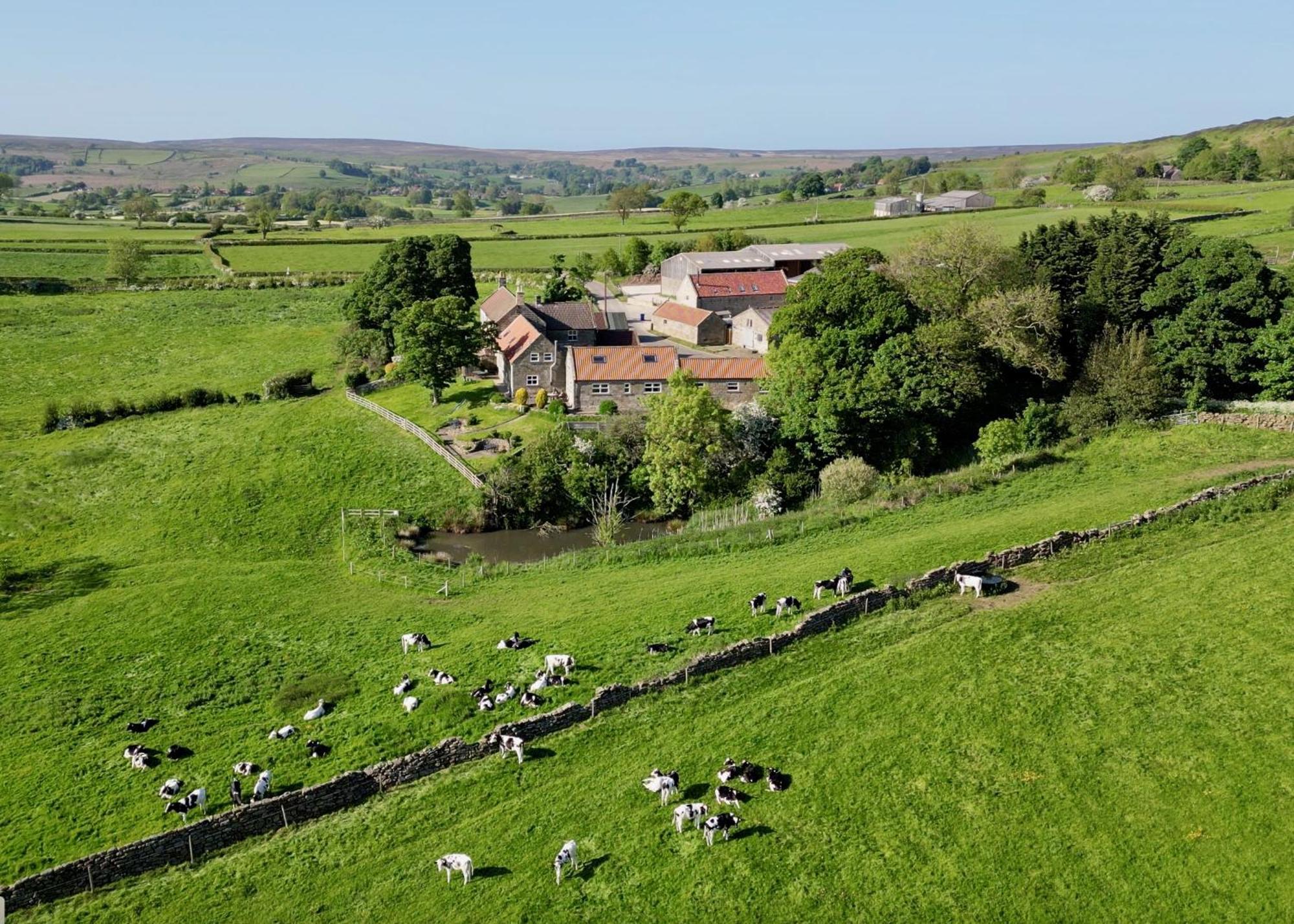 Church House Farm Danby Kültér fotó